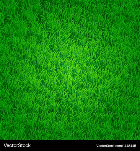 grass green background|green screen background images.